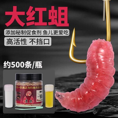 红虫活饵料特大号公虫野钓鱼大小红虫鱼食蚯蚓新鲜活体红蛆虫腥味