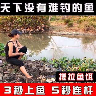 鱼饵料野钓鲫鱼饵料黑坑野钓大板鲫腥香鱼饵无需拉丝粉单开鱼饵料