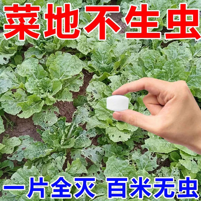 菜地防虫驱菜虫家庭园艺防虫药片