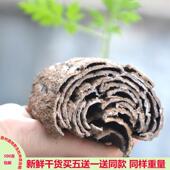 思贵州野生老树杜皮仲去粗可磨粉扯丝皮仲丝棉皮皮玉丝皮500gHTS