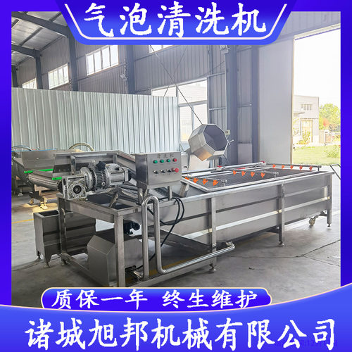大姜果蔬气泡清洗机 荔枝龙眼清洗流水线 多功能预制菜加工清洗线