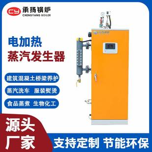 厂家供应96KW 电热蒸汽发生器 全自动电加热小型蒸汽发生器 130KG