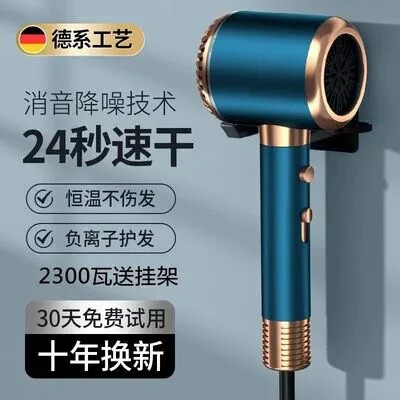 德国电吹风机家用发廊理发店专用音护发速干风筒大功率负离子静