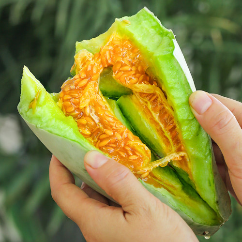 山东羊角蜜瓜1斤250g+