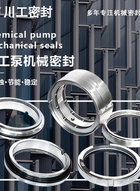 双端面机封耐压 DYM74D-55\IEJ80-50-250 双端面密封改造