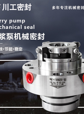 双端机械密封 HZJ100-65-200AI HZJ80-50-250B GB/T 5656-1994?