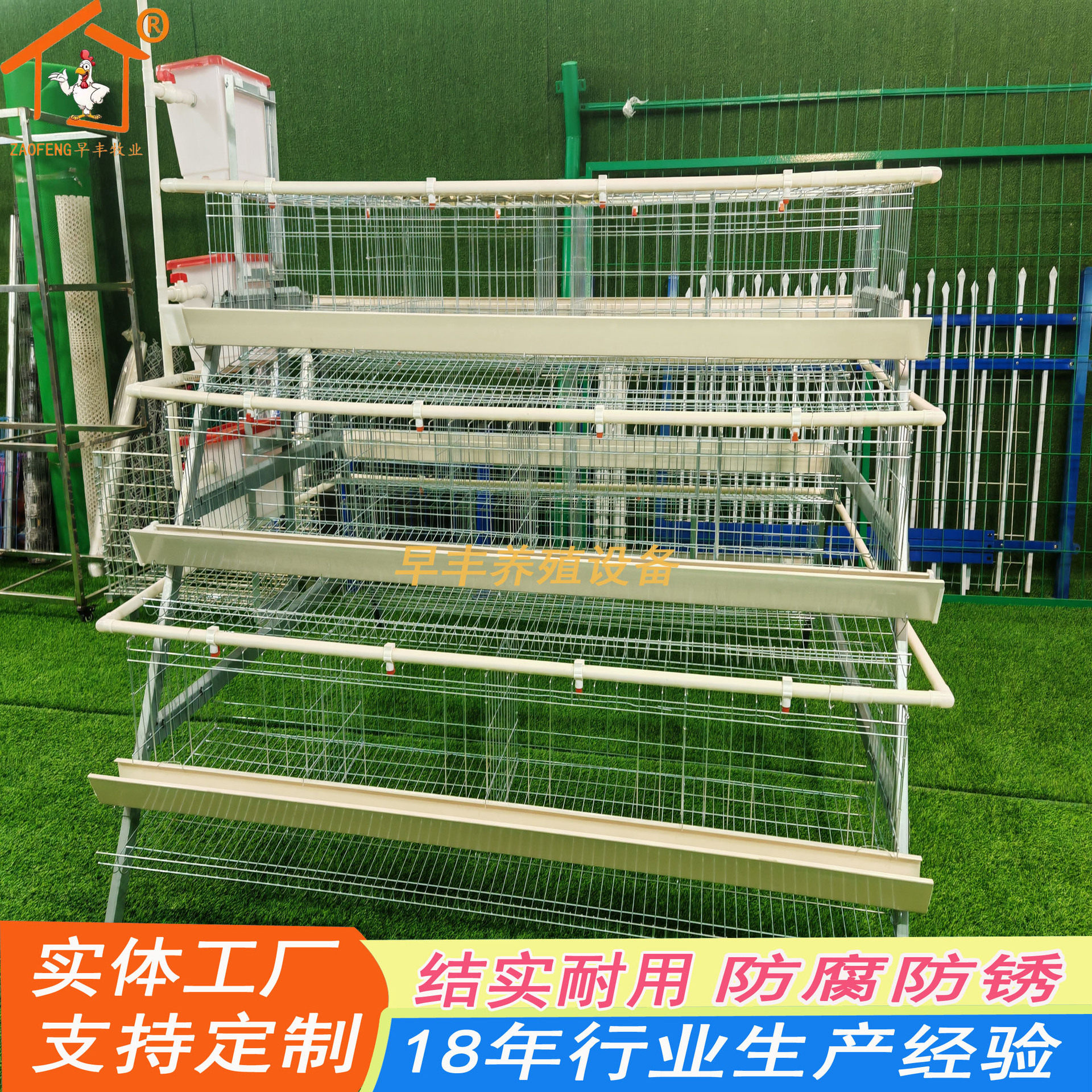 蛋鸡养殖笼养鸡场专用鸡笼子家用蛋鸡笼全自动饮水清粪滚蛋鸡笼子