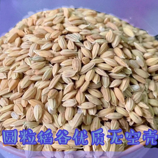 东北圆粒水稻无空壳打毛水稻谷可食用稻谷宠物饲料鸽子鸡鸭鹅