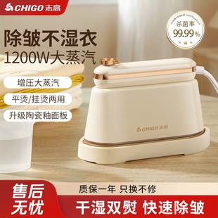 手持挂烫机家用小型熨烫服书法便携式 2025新款 电机大蒸汽熨斗烫衣