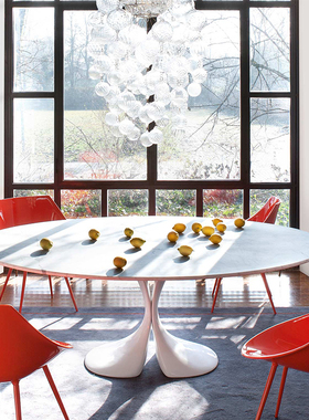 意大利进口正版 Driade 餐桌 Didymos