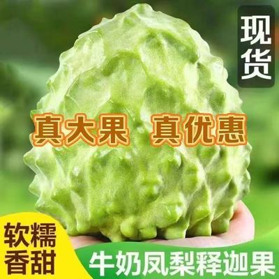 潮汕牛奶凤梨释迦果樟林林檎果牛奶释迦番荔枝佛头摩尼果新鲜水果