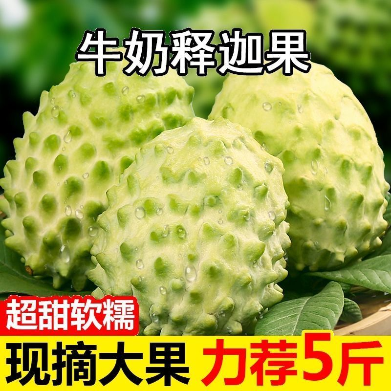 云南凤梨牛奶释迦果新鲜应季孕妇水果特大果番荔枝摩尼果整箱包邮