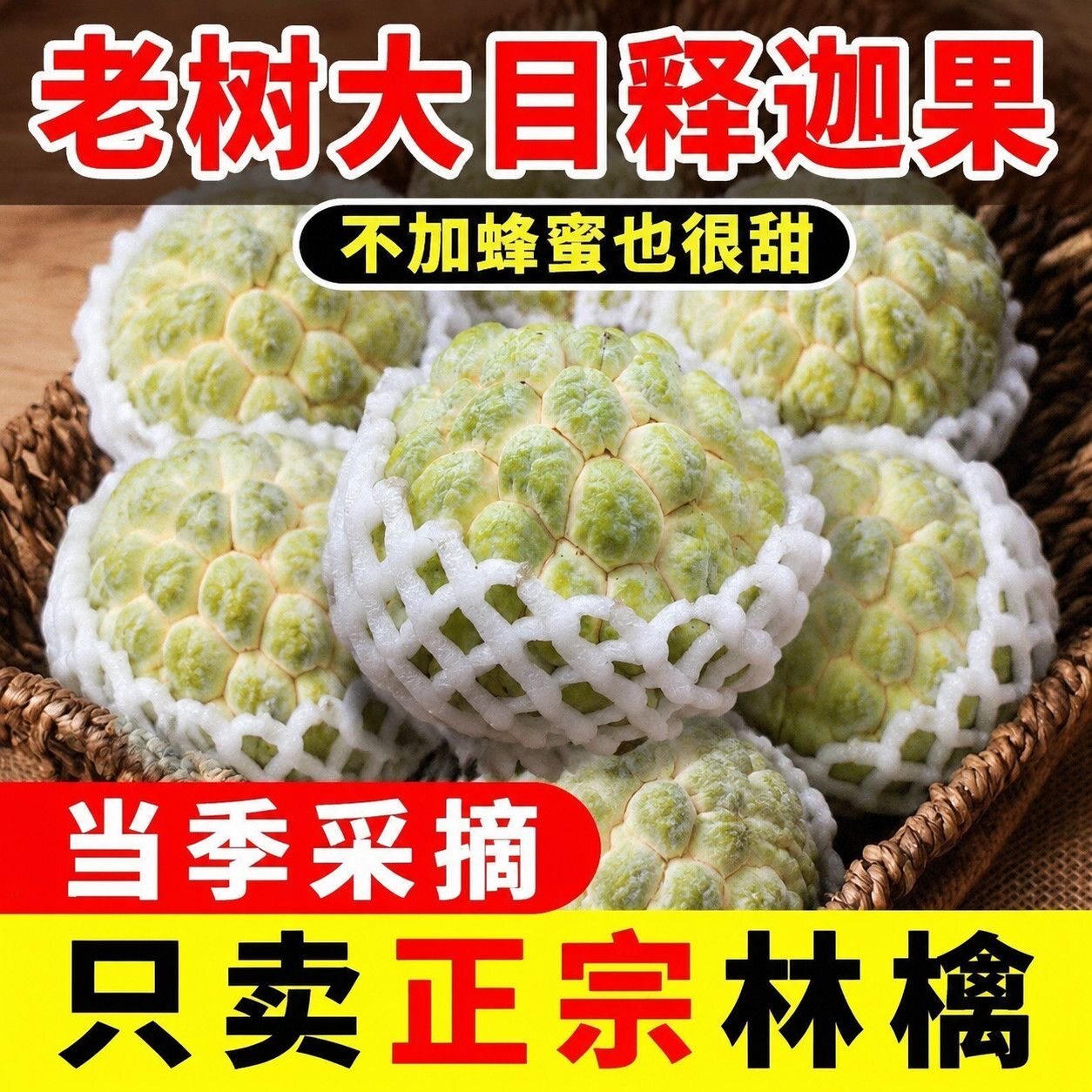 潮汕大目林琴释迦果真宗原场地