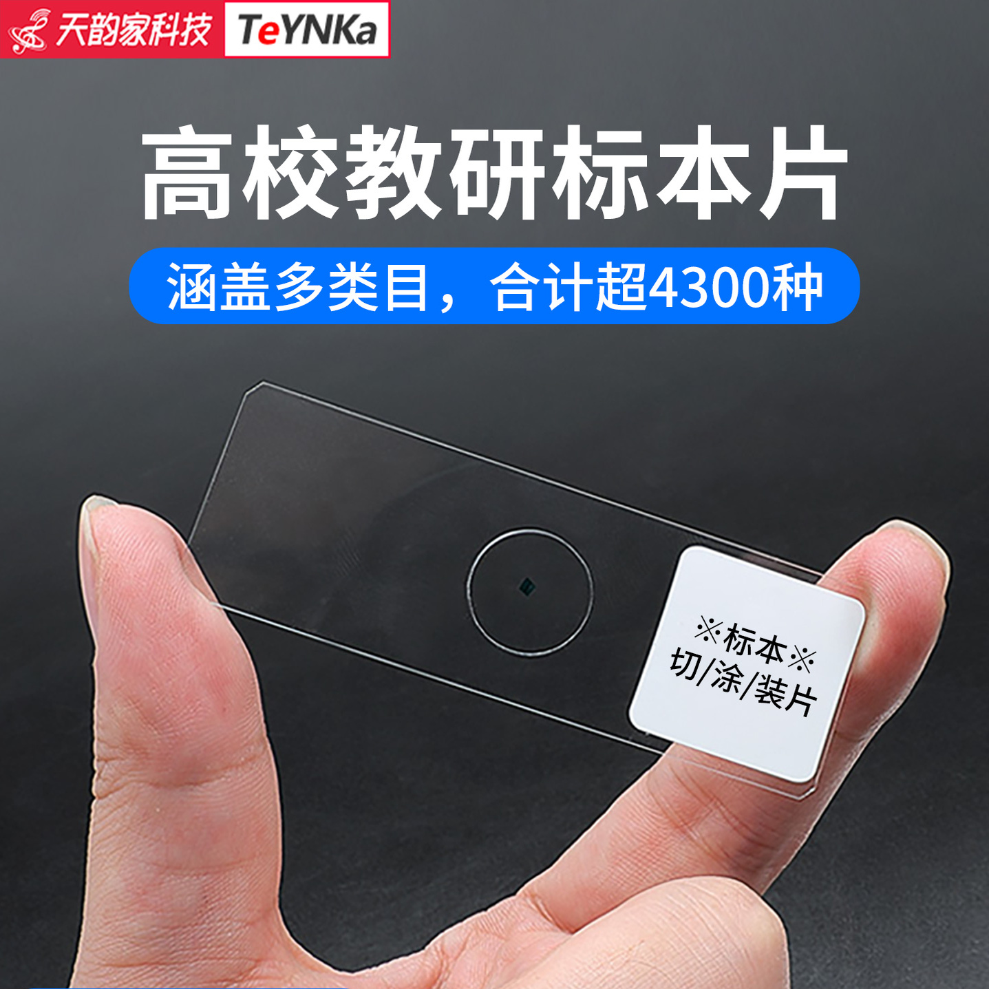 定制标本动物生物医学病理类寄生虫节肢显微镜观察样本玻切涂装片