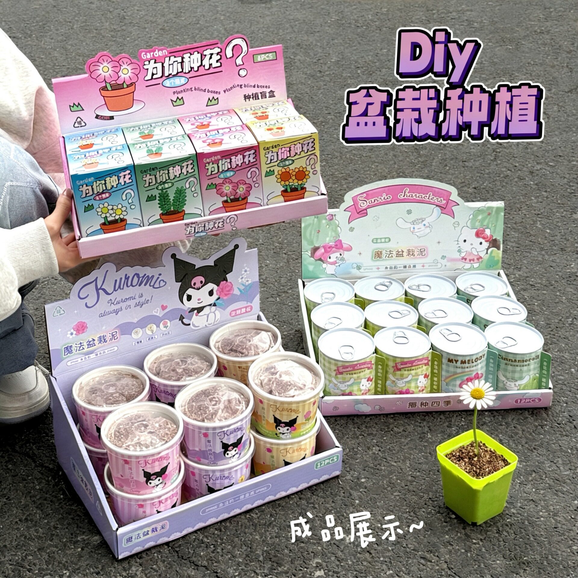 礼物创意摆件花朵小盆栽趣味桌面小绿植学生奖品礼物室内水果花卉