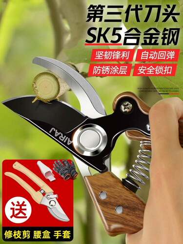 剪刀修枝剪园艺花草果树园林高空加长省力进口绿化粗枝专用大剪子