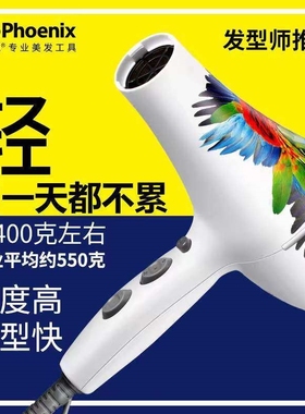 火之凤5600A鹦鹉电吹风机发型师专业超轻发廊理发店家用正品专用