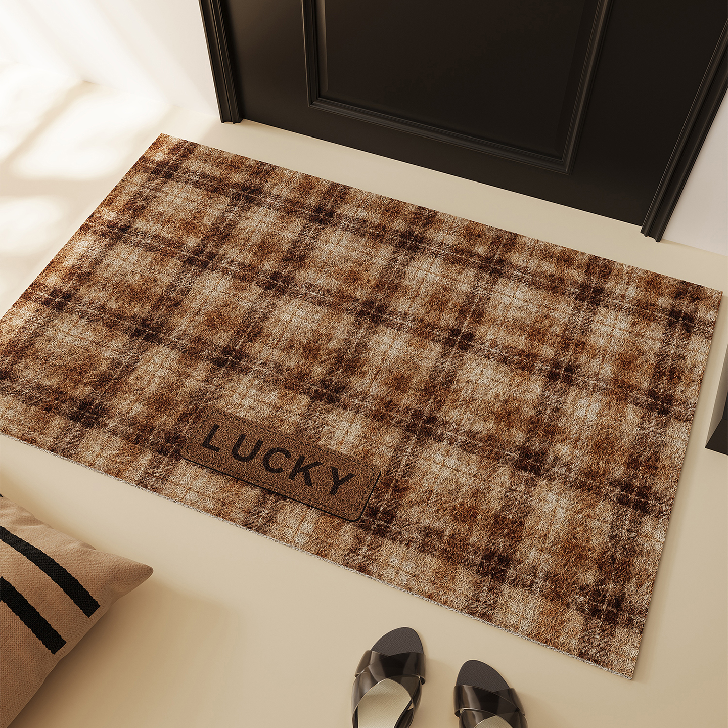 入户玄关丝圈防滑免洗门垫