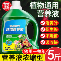 植物营养液养花通用型花卉肥料
