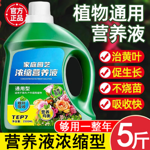 营养液植物通用型多肉富贵竹发财树绿萝水培盆栽家用花卉养花肥料