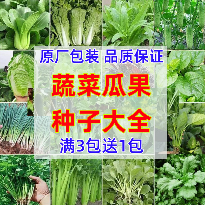方震蔬菜种子易成活发芽率高家庭
