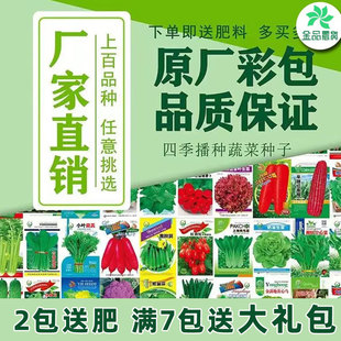 播种 蔬菜种子香菜小葱种子种植阳台粉丝特惠盆栽室内阳台园艺四季