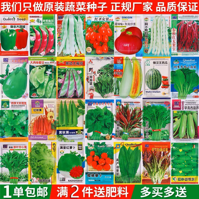 原装四季适播园艺蔬菜种子芽率高