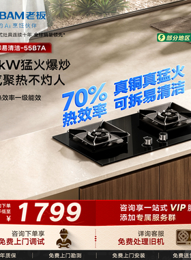 [新品]老板燃气灶55B7A/D2大火力天然气猛火双灶官方旗舰店正品