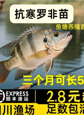 四川发货罗非鱼苗批发顺丰包活