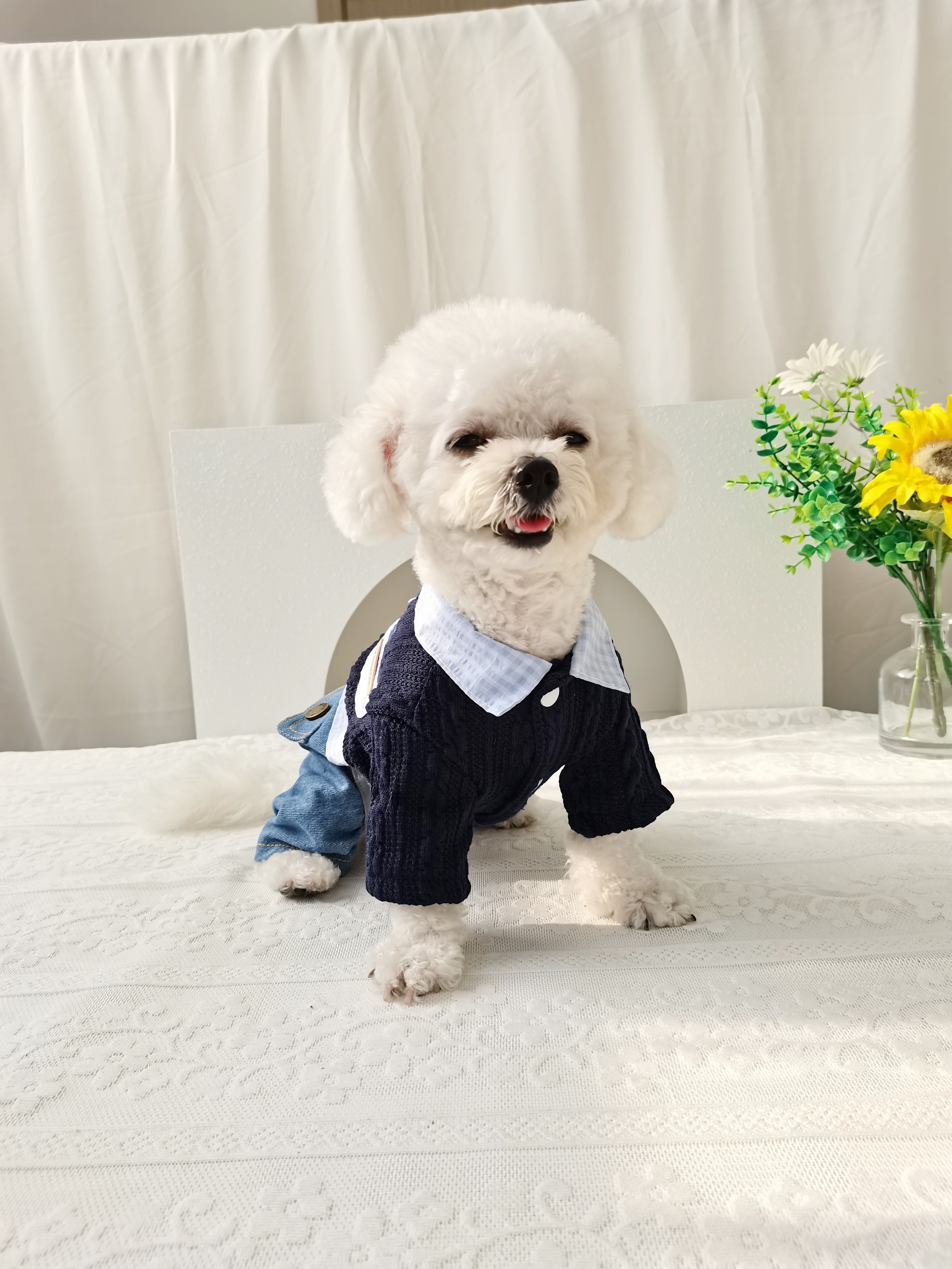 狗狗早秋款四脚套装小型犬宠物毛衣牛仔假两件可牵引比熊泰迪博美
