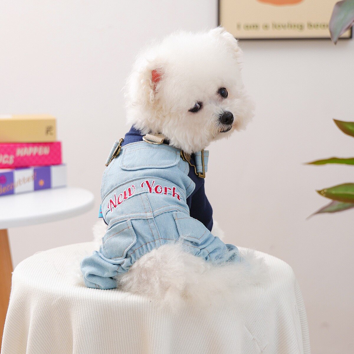 狗狗衣服秋冬款帅酷牛仔背带裤四脚套装小型犬泰迪宠物比熊可牵引