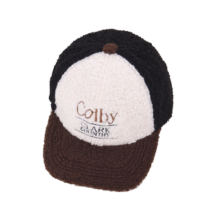 儿童帽子秋冬男童羊羔绒鸭舌帽冬款中大童韩版拼色女童棒球帽男孩