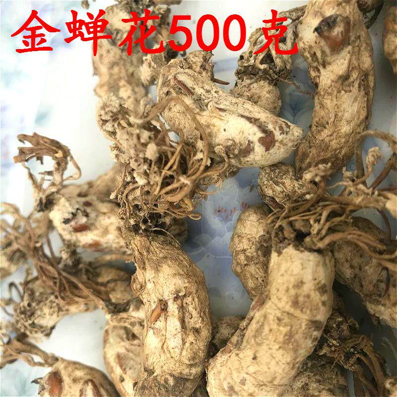 包邮225年新货500知g大别山金蝉花竹林金草禅花瞭猴虫QOP土0蚕花