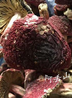 广西TXG金秀盘瑶传统滋品他农家土特产菇干货补煲汤食材一红斤包