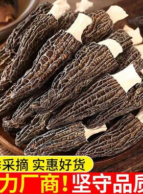 羊干货营养DDF1菌菇新鲜干蘑肚菌菇火锅食材00/克包邮