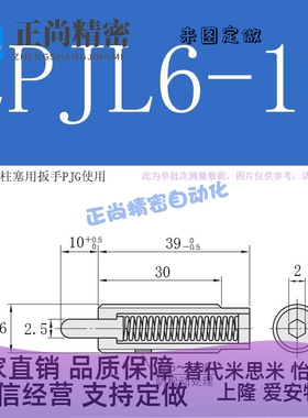 PJL3/4/5/6/8/10/12/16-20/30/40国标碳钢粗牙弹簧柱塞顶丝弹顶销