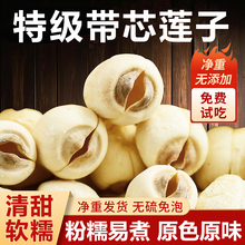 带芯莲子莲子干货500g特级莲子干货脆去芯带心带芯莲子官方旗舰店