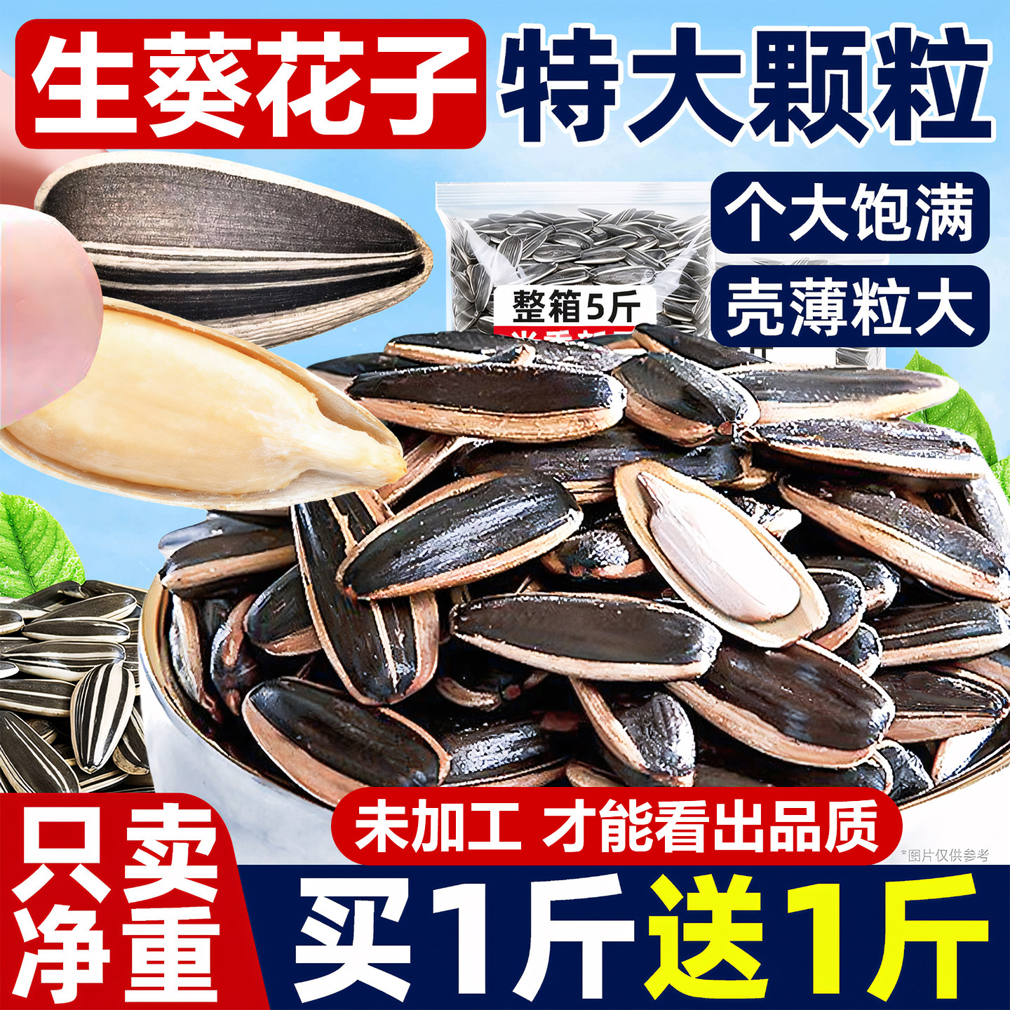 内蒙古生瓜子葵花籽新货特大颗粒2025新货新鲜毛磕生瓜子原味年货