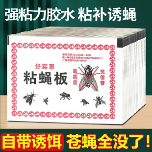 苍蝇贴强力粘苍蝇纸粘蝇板沾蚊蝇杀手捕捉器一扫光家用灭蝇子神器
