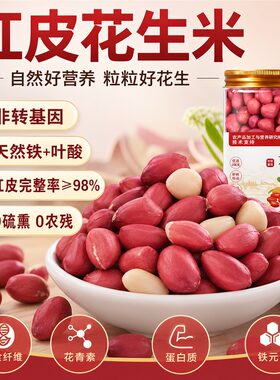 2026年正宗东北红皮花生米官方旗舰店有机补血打豆浆补生批发10斤