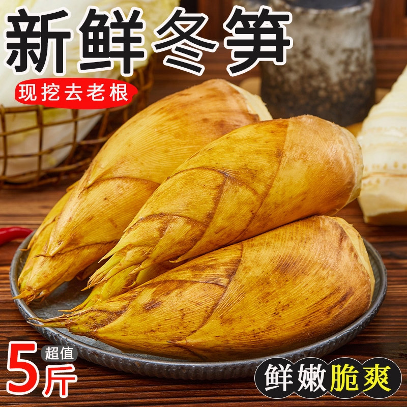 浙江锄头挖新鲜冬笋专用现挖5斤10斤临安春笋江西竹笋清水煮野生