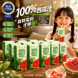 100%西瓜汁果汁鲜榨浓缩夏季天解暑饮料旗舰店无菌高温清甜冰饮品