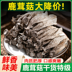 胖东来官方旗舰店高山一级鹿茸菇干货特级云南特产煲汤炒菜野生菇