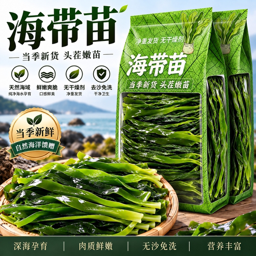 海带苗嫩特级新鲜官方旗舰店正宗霞浦盐渍火锅商用海鲜干货裙带菜