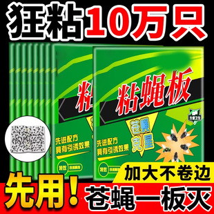 苍蝇贴强力粘苍蝇纸粘蝇板沾蚊蝇杀手捕捉器一扫光家用灭蝇子神器