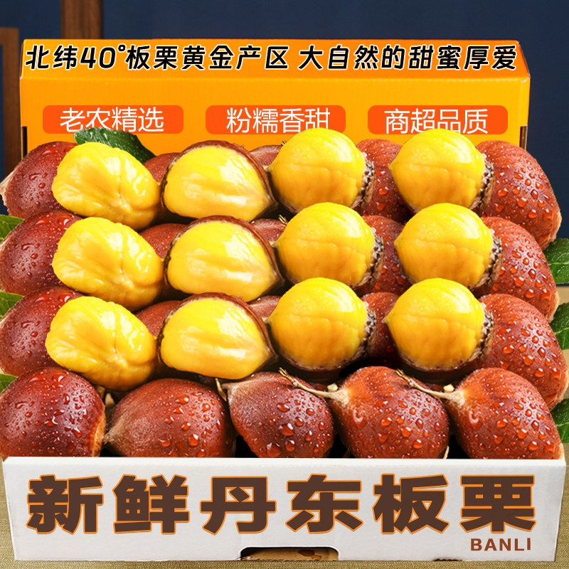 辽宁丹东当季2025野生新鲜生板栗非锥栗小油栗子毛栗子批发新下树