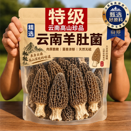 云南野生羊肚菌无硫熏新鲜菌菇汤包野生菌煲汤食材干货官方旗舰店