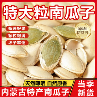 内蒙古特产生南瓜子2025新货官方旗舰店原味带壳特大颗粒无添加