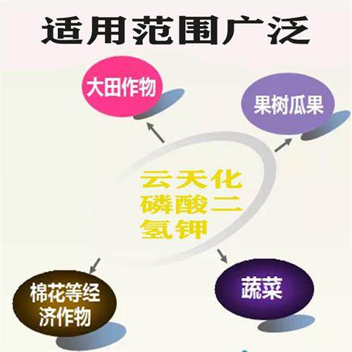 云天化5kg磷酸二氢钾水溶99%高纯度农用叶面肥 速溶磷钾通用肥料