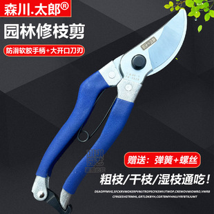 森川太郎FM202B日本SK5修枝剪 园林剪刀工具修枝剪园艺剪果树剪手